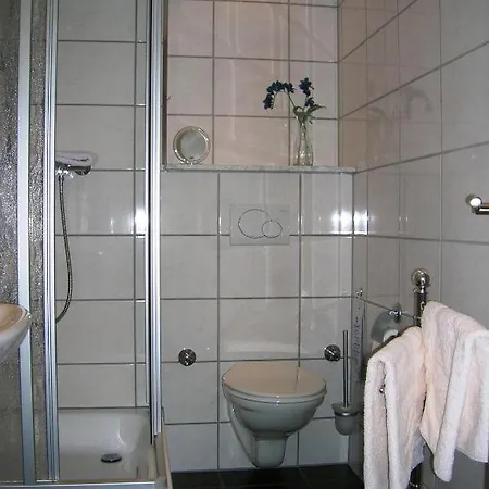 Schweizerhaus Hotel 3*
